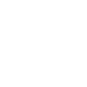 icon1 icon1